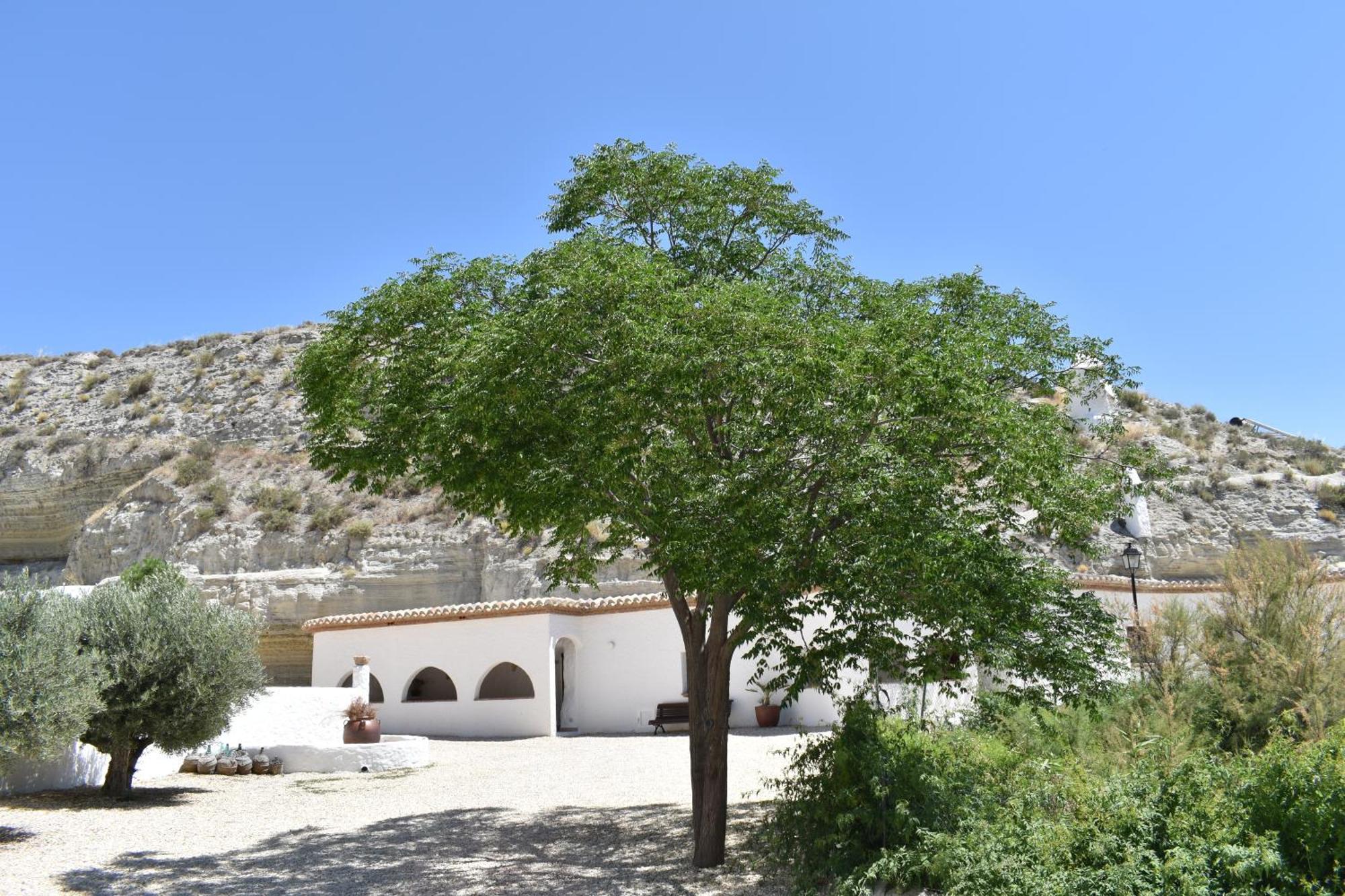 Cueva Aventura Villa Benamaurel Exterior photo